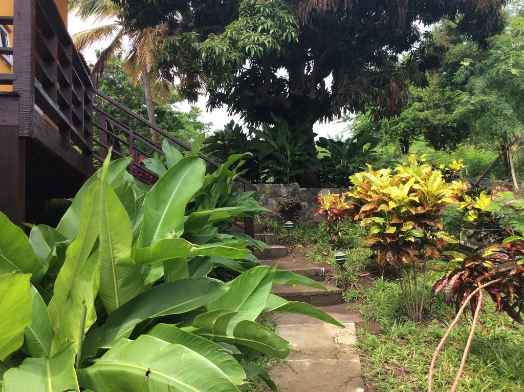Vila Kaye Mango Soufrière Exteriér fotografie