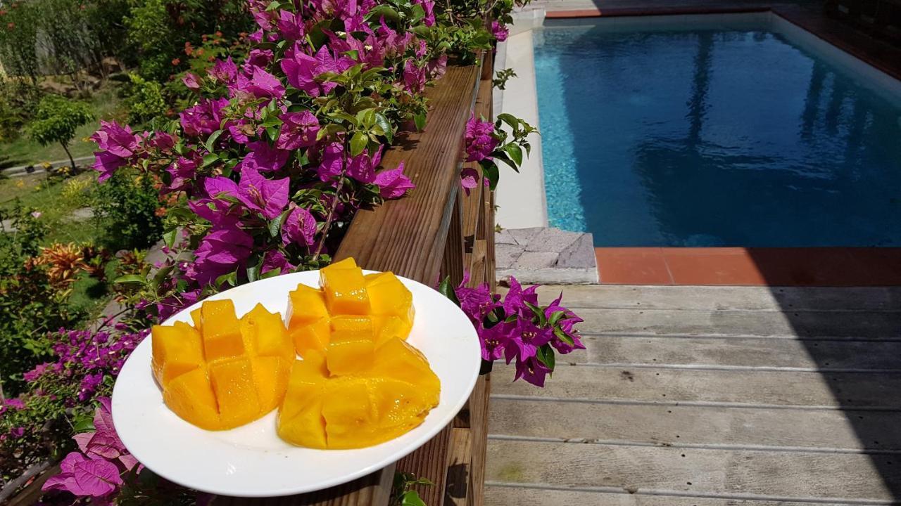 Vila Kaye Mango Soufrière Exteriér fotografie
