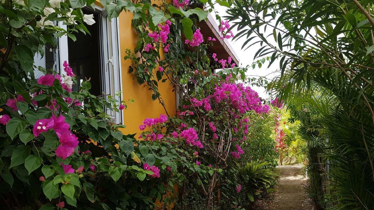 Vila Kaye Mango Soufrière Exteriér fotografie