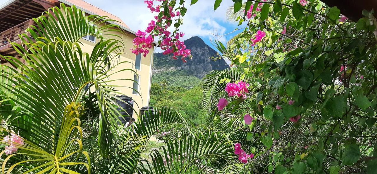 Vila Kaye Mango Soufrière Exteriér fotografie