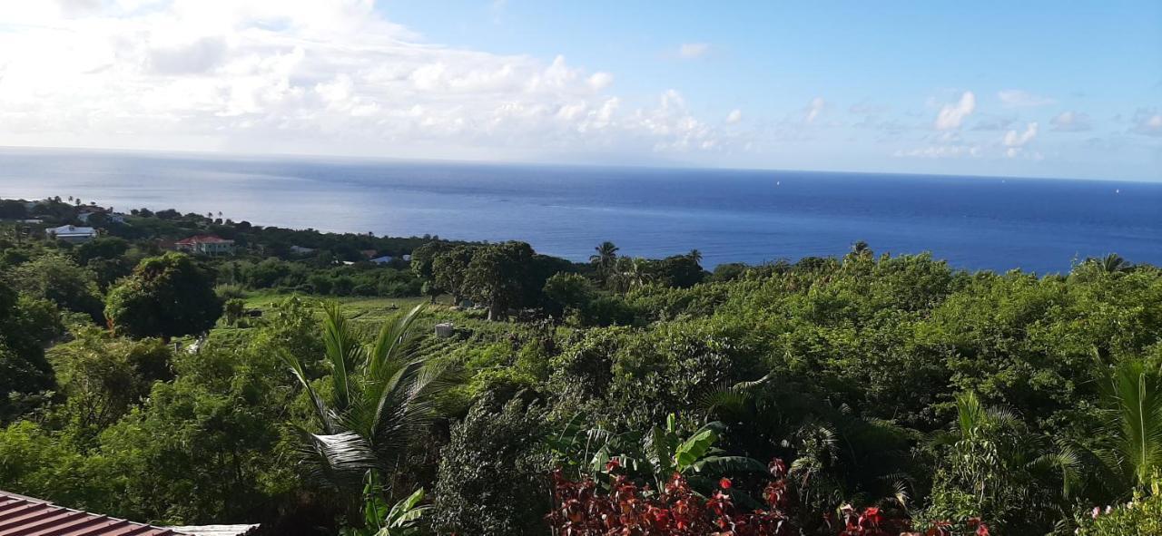 Vila Kaye Mango Soufrière Exteriér fotografie