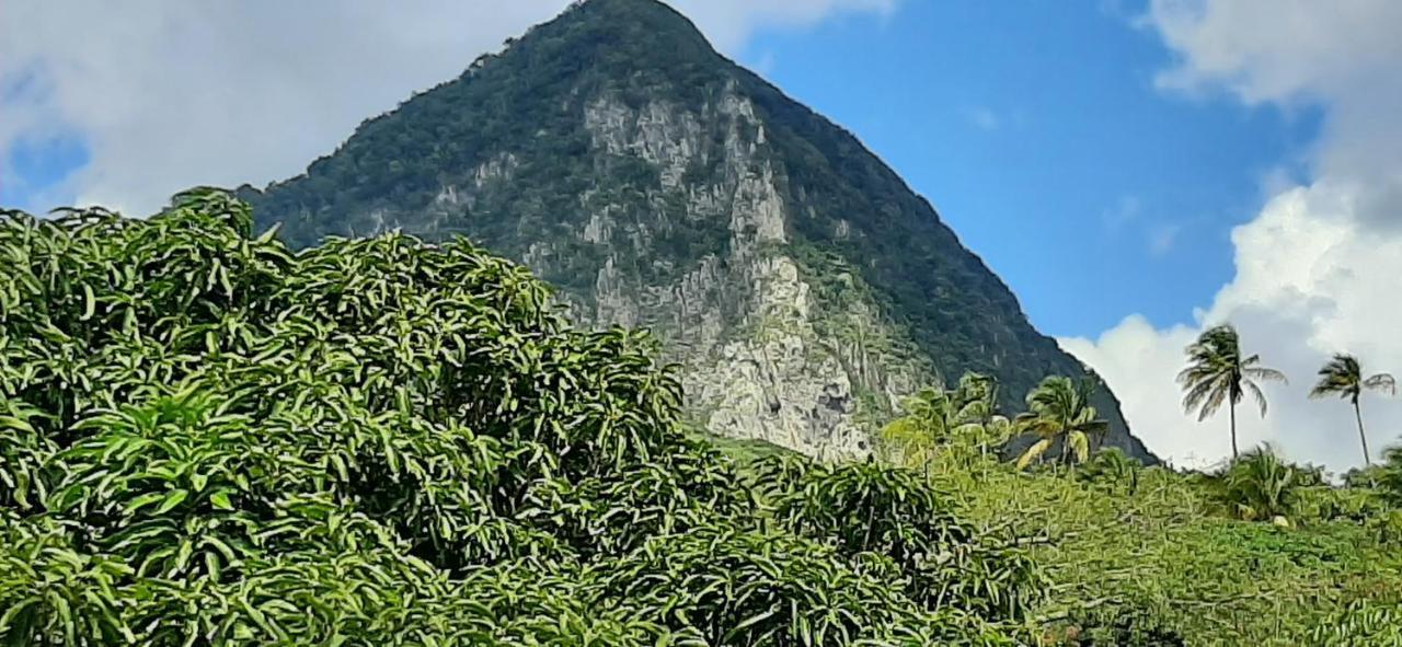 Vila Kaye Mango Soufrière Exteriér fotografie